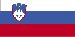 slovenian Florida - Државни Име (Филијала) (страна 1)